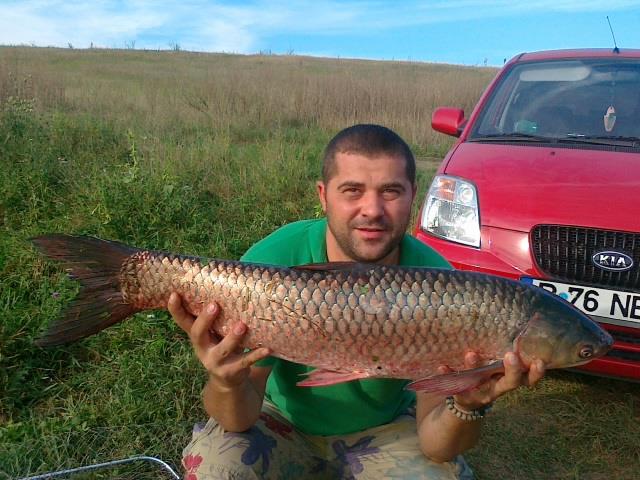 2012 - asta nu mai stiu undei prins,dar cred ca pe fundulea 7